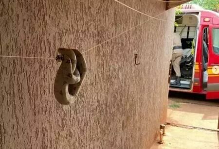 Imagem de compartilhamento para o artigo Jiboia de 1 metro é encontrada no varal de residência em Sidrolândia da MS Todo dia